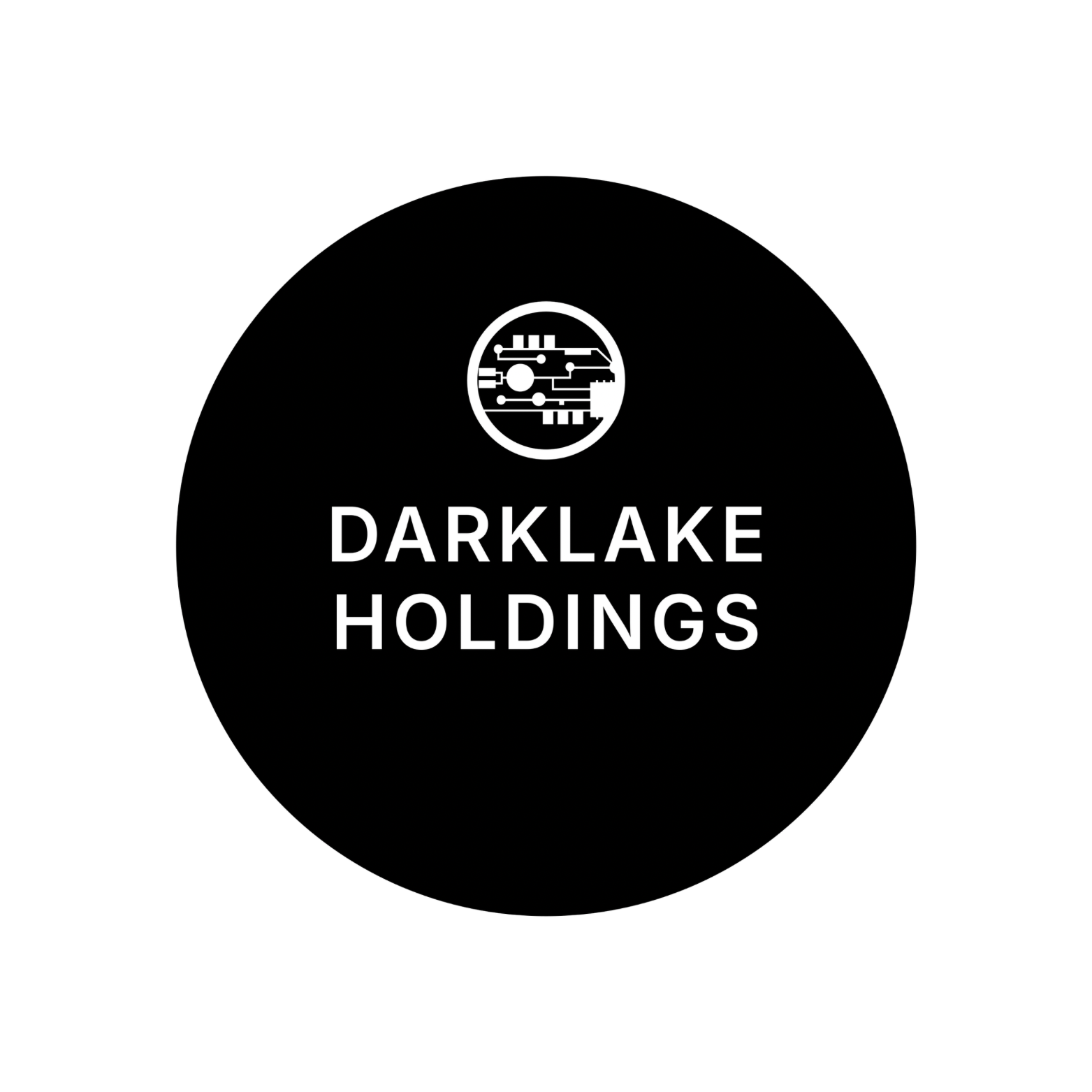 Darklake Holdings LLC