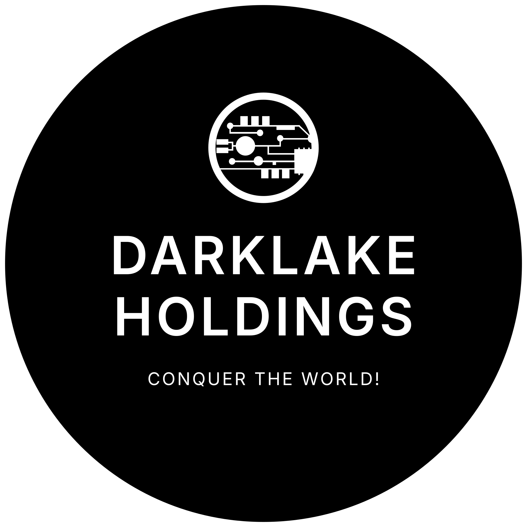 Darklake Holdings LLC